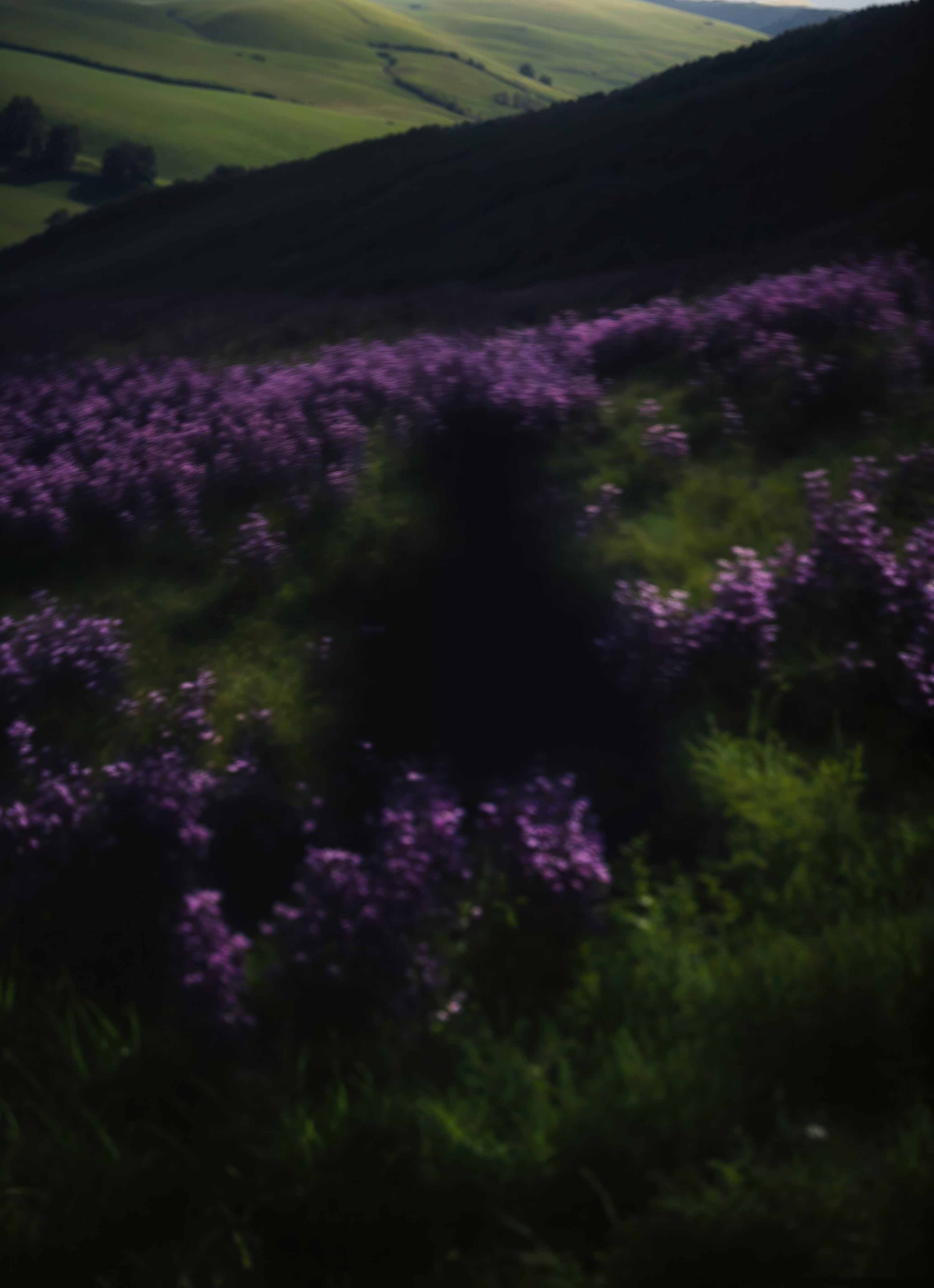 H.S. Wren for Spells Volume 1.